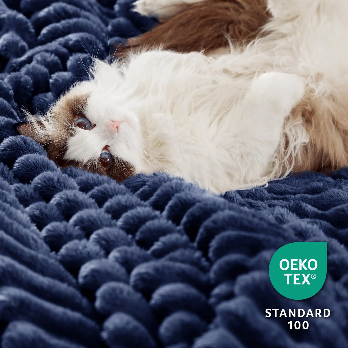 Cozy Sherpa Blanket | Ultra Soft Plush Fleece Throw Blanket | Warm Lightweight Comfort for Bed, Sofa & Living Room